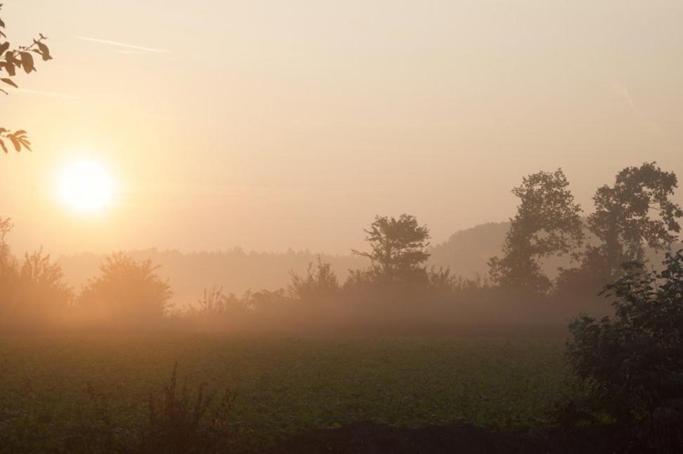 Hoeve Delshorst Heibloem 外观 照片